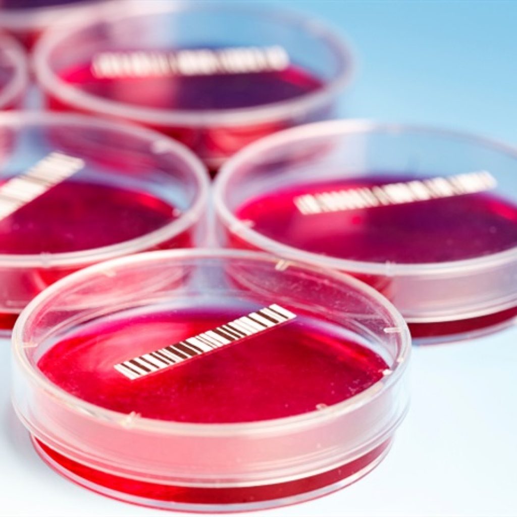 Combining stem cell technology and artificial intelligence