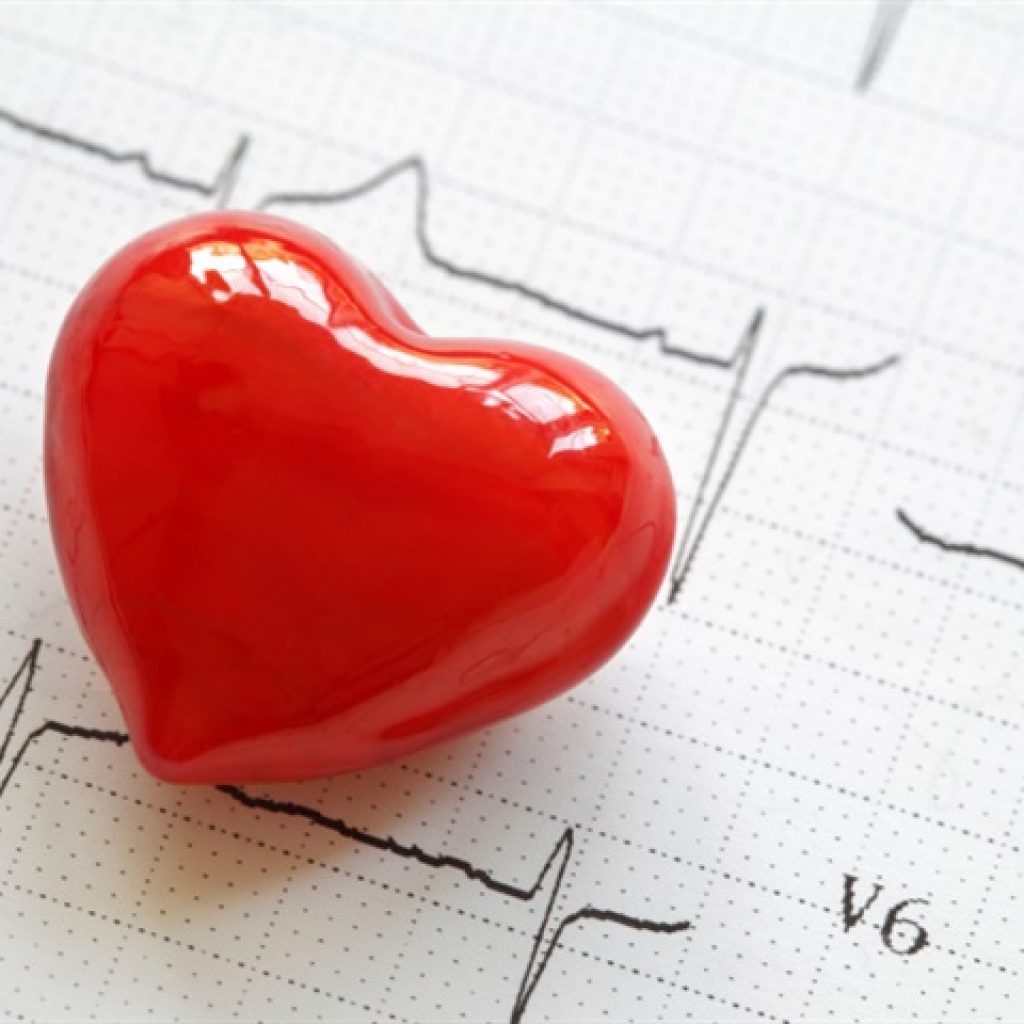 An artificial heart kept on a report