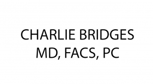 A banner of bridges charlie in black and white
