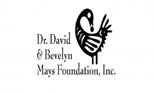 A logo of dr david and benelyn maya foundation